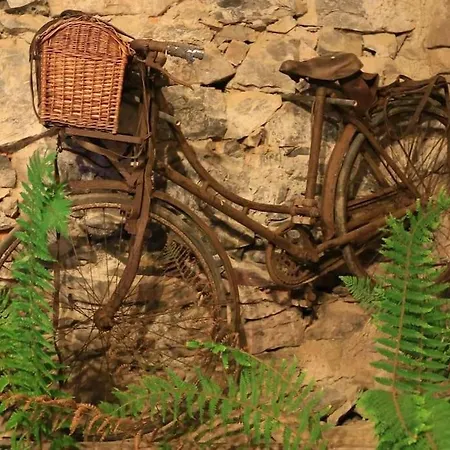 Σπίτι διακοπών Le Cap De Clos Cier-de-Riviere