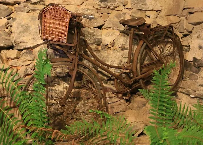 度假居 Le Cap De Clos Cier-de-Riviere